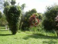 /album/unidade-vargem/vargem-7-jpg/